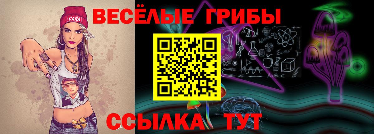 Псилоцибиновые грибы мухоморы  Вход с VPN  Каменка  Псилоцибиновые грибы мицелий 